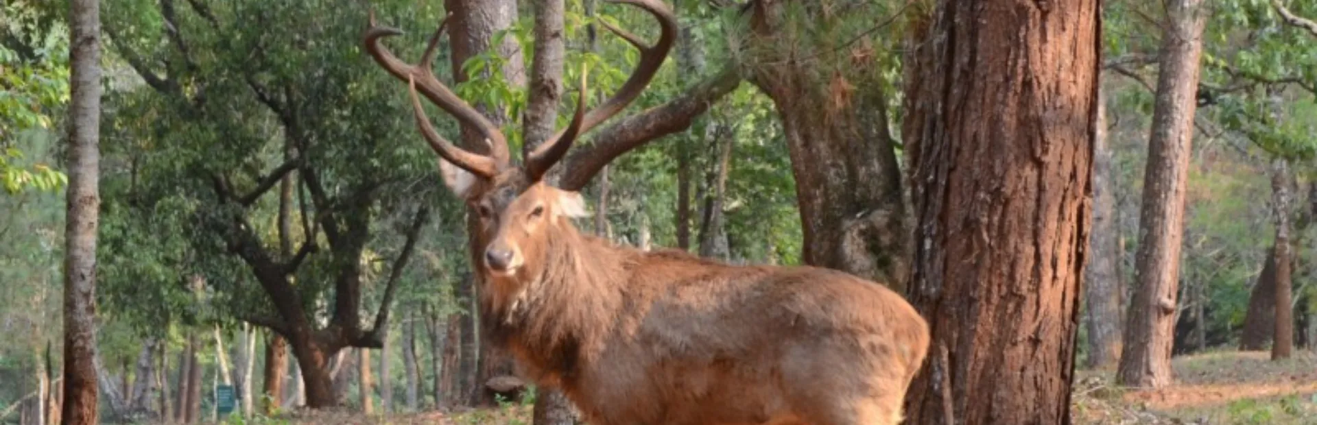 Wildpark het aardhuis