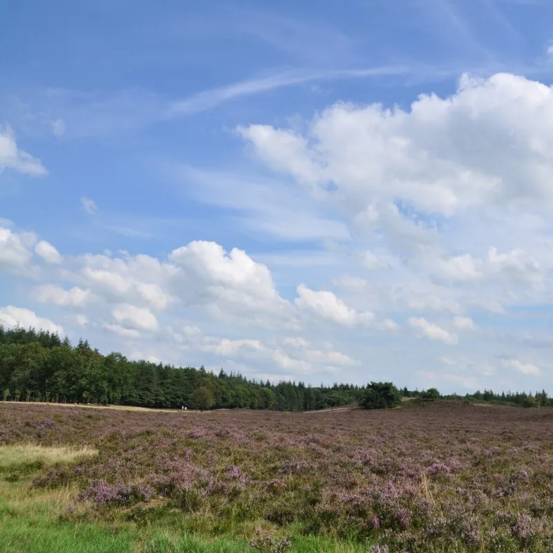 Adventure veluwe