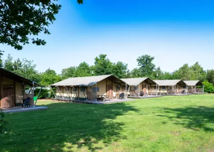 Vakantiehuisjes de Pampel 41